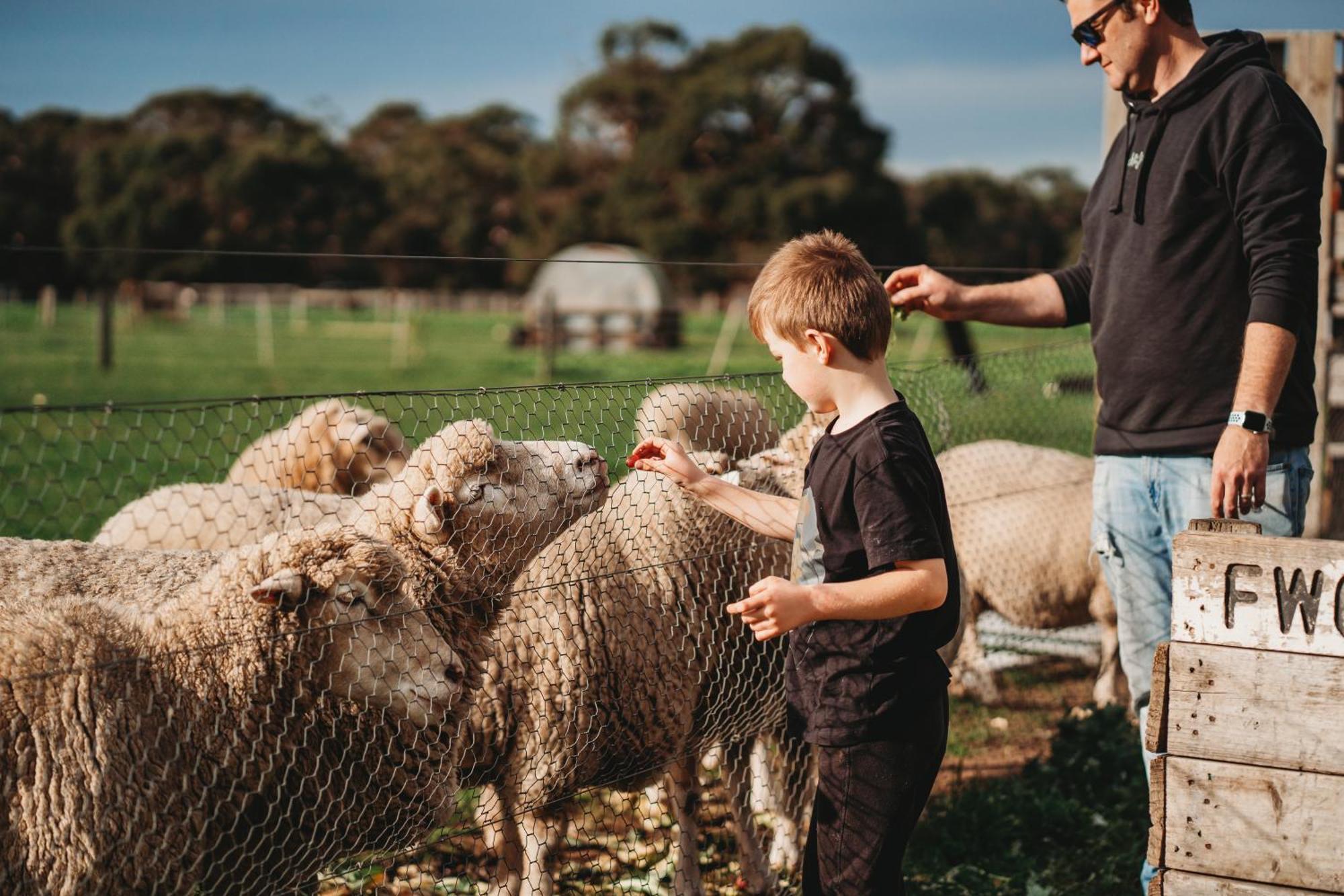 Freshwater Creek Cottages & Farm Stay Torquay Exterior foto