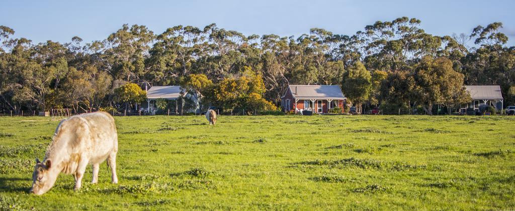Freshwater Creek Cottages & Farm Stay Torquay Exterior foto
