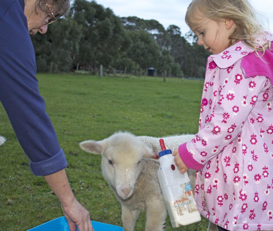 Freshwater Creek Cottages & Farm Stay Torquay Exterior foto